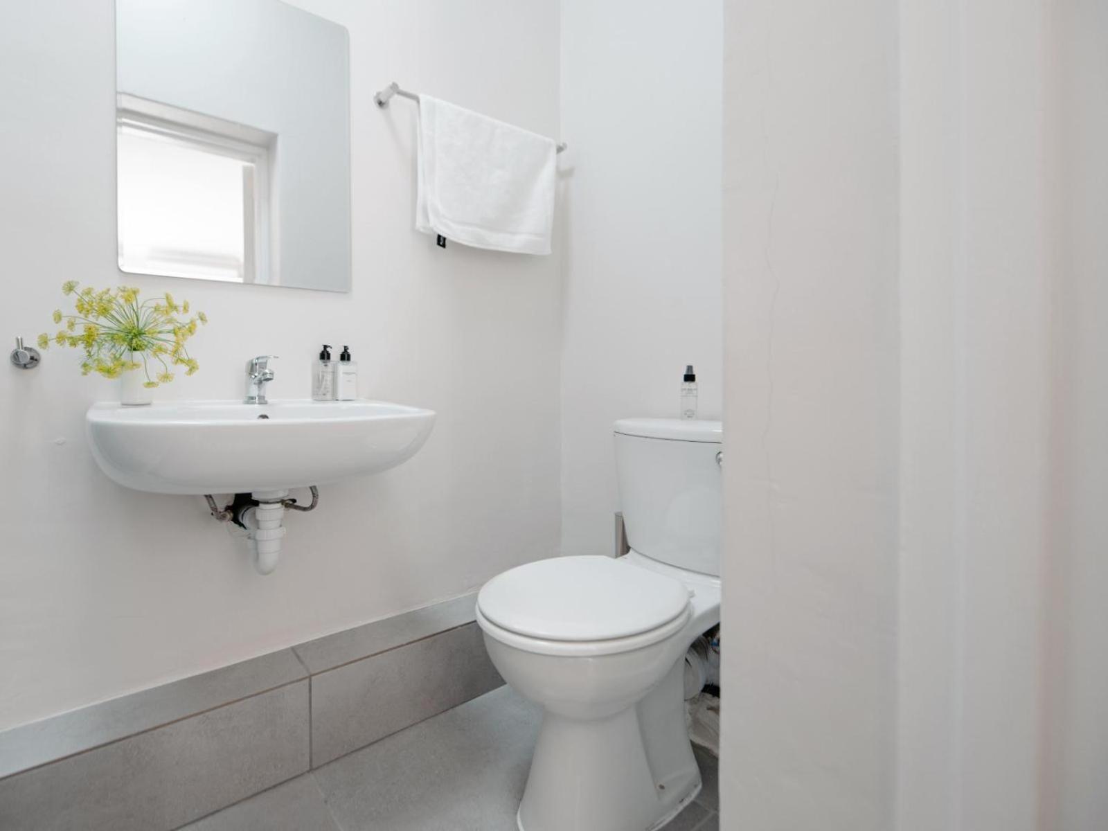 Cape Finest - De Waterkant House Cape Town Phòng bức ảnh